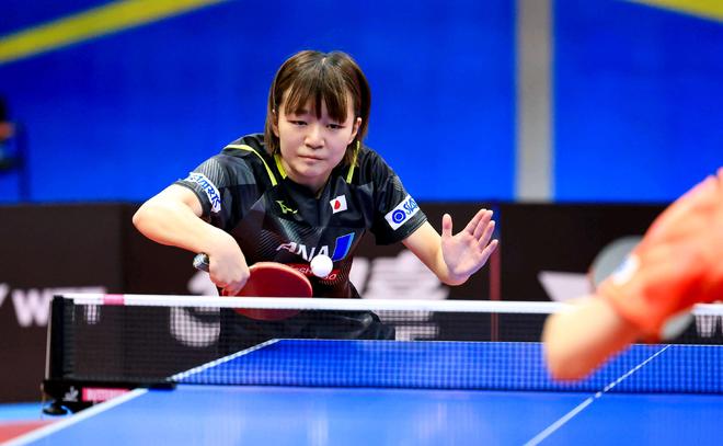 公众应对马 公众应对马