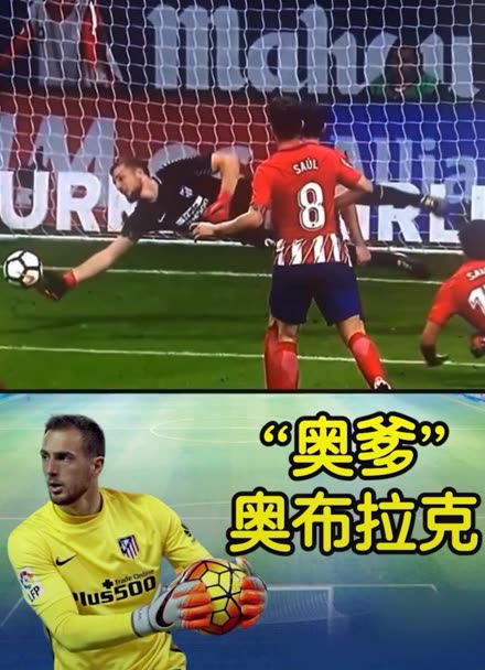结和组织 结和组织